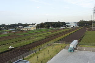 アスクルから見た三富新田