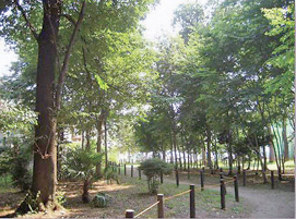 nakanokubofureainomori1