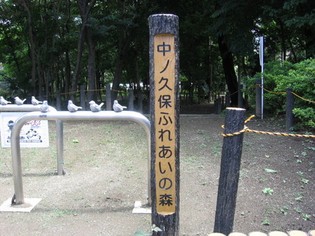 中ノ久保ふれあいの森の看板