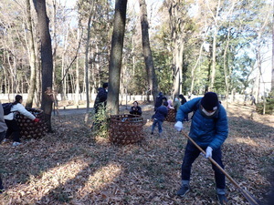 落ち葉を掃いている様子